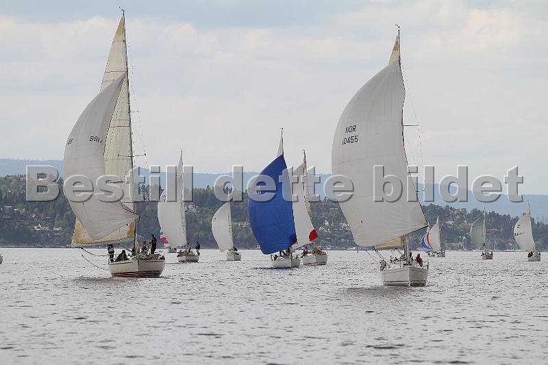 Bundefjorden2012 422.jpg